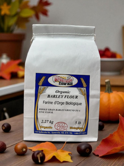 Whole Barley Flour