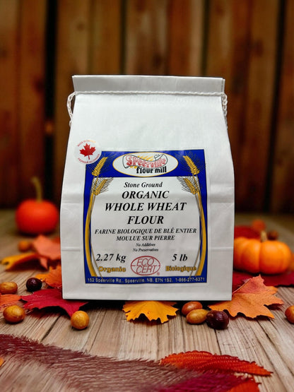 Whole Wheat Flour